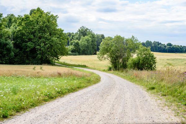 Stone Driveway Repair in Peoria