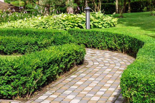 Paved Landscaping in Peoria
