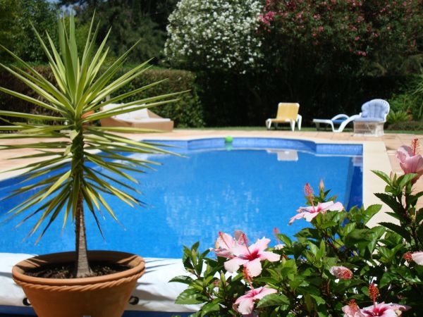 Pool Terrace Renovation in Peoria